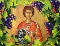 Today, #Bulgaria celebrates Saint Trifon - the patron saint of vine-growers, wine-producers and tavern-keepers! Happy Trifon Zarezan! Честит Трифон Зарезан! #wine #trifonzarezan #wineholiday #winelover #wineworld #tradition #BulgarianWine