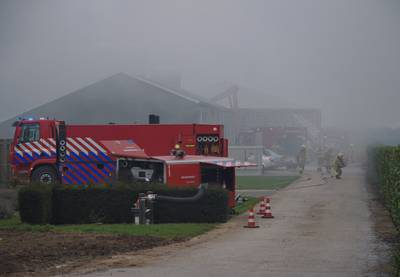 Grote brand in stal op boerenbedrijf met 9000 varkens in Netterden..