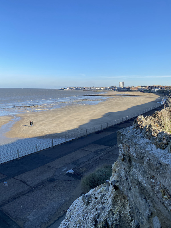 grumpyoldbirder's tweet image. Lockdown Diary – Another day of depressing sameness... - grumpyoldbirder.com/another-day-of… [&apos;Subscribing&apos; to Grumpy Old Birder posts is very easy... complete the form on the right of the blog post and click the confirm link which is sent so you won’t miss a post.]