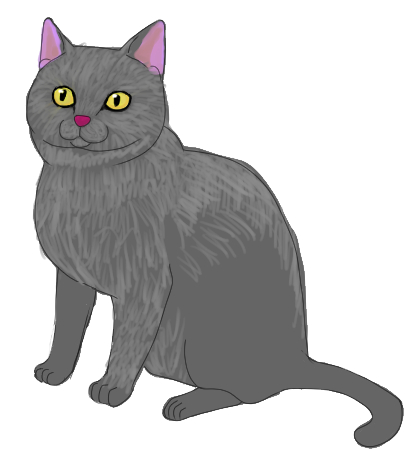アメリカンショートヘアーのtwitterイラスト検索結果