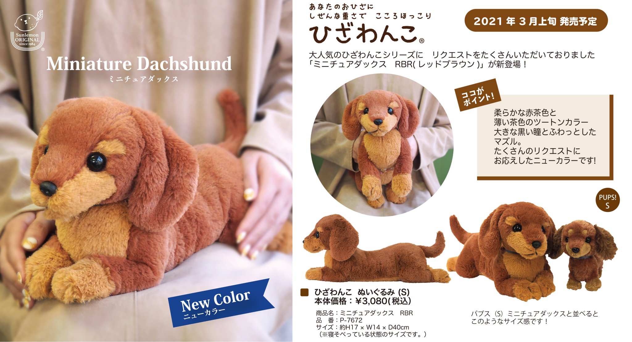 【廃番】ひざわんこ　ミニチュアダックスフンド　サンレモン ひざわんこ ミニチュアダックス レッドブラウン ダックスフント