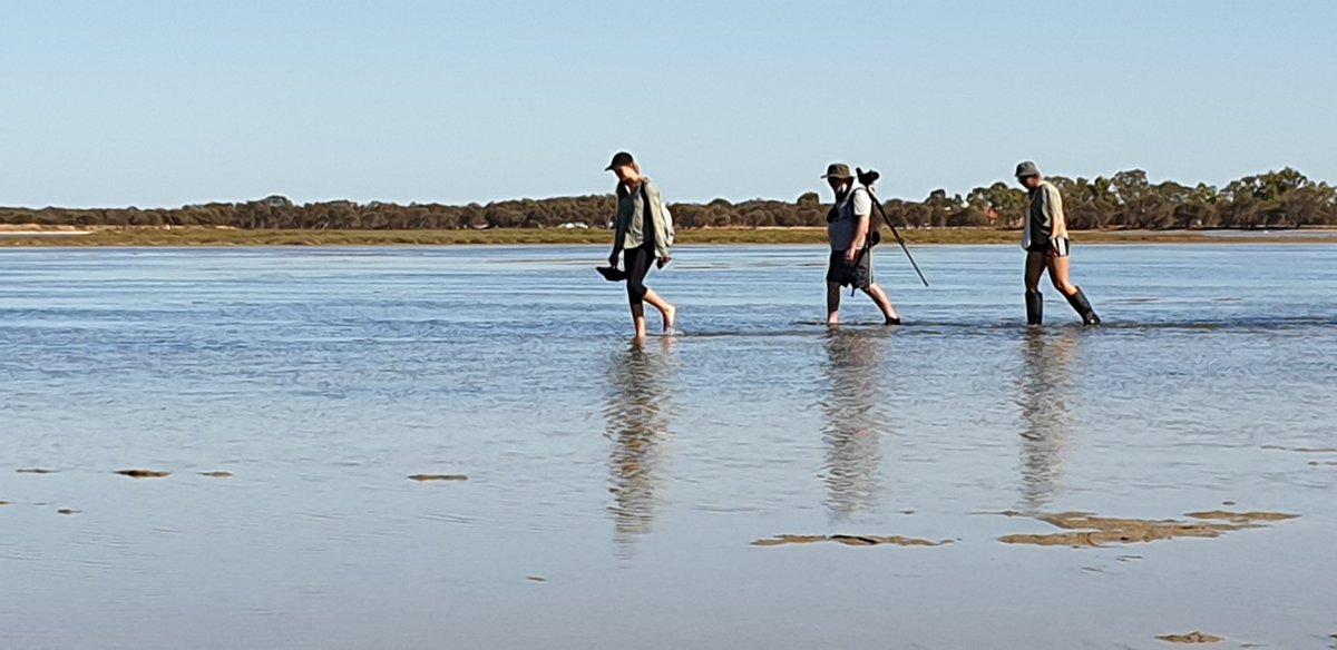 Mike_PHCC tweet media