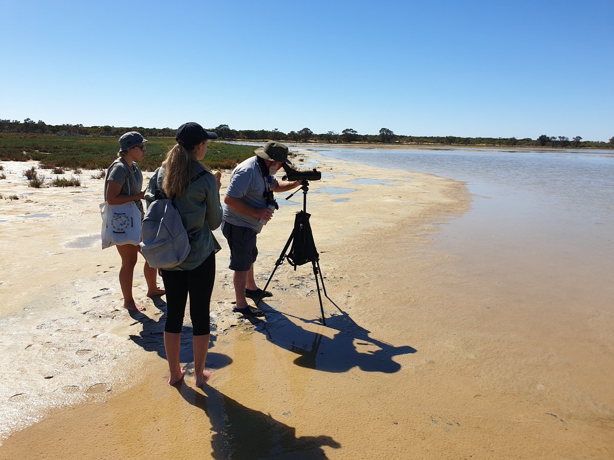 Mike_PHCC tweet media