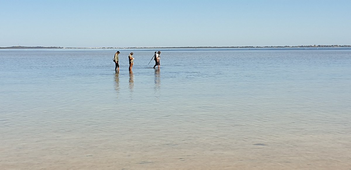 Mike_PHCC tweet media