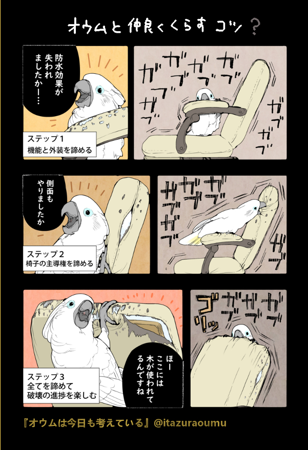 オウムと仲良く暮らすコツ…?
#オウムは今日も考えている #漫画 