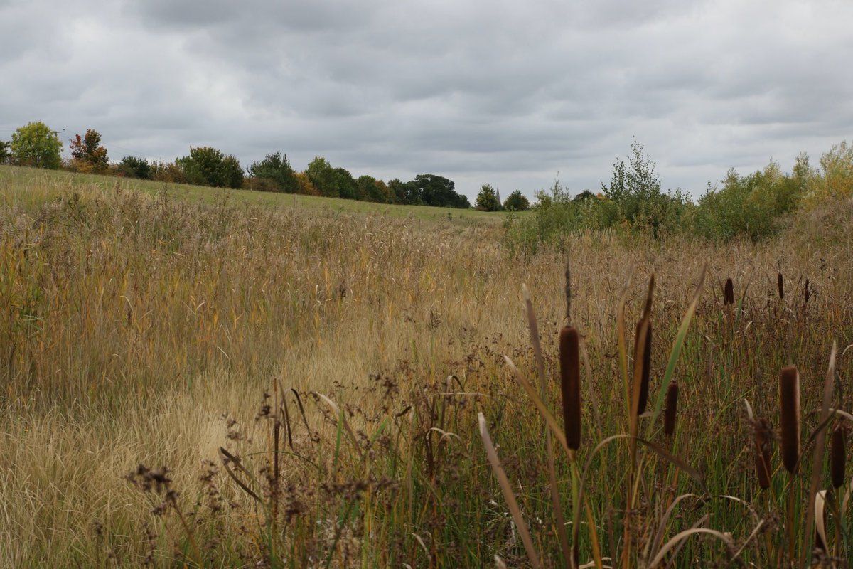 The Langdyke Countryside Trust board has set out its strategic aims for the next five years after consulting with members. If you're interested you can find them on the website here: langdyke.org.uk/langdykes-stra…