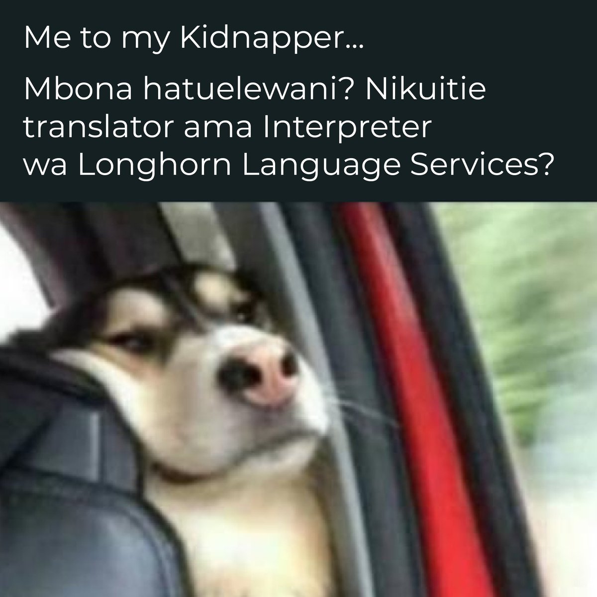 LonghornLS's tweet image. Me to my Kidnappers...
Mbona hatuelewani? Nikuitie translator ama Interpreter
wa Longhorn Language Services? #manylanguages #mylanguage #learnforeignlanguages #translating #languagegames #languagechallenge #languages #languagenerd #Kenya #Africa #africanlanguages #Tanzania #Kenya