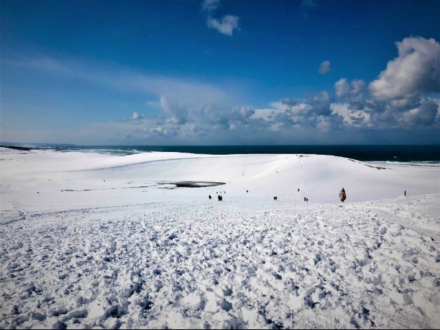 公式 兵庫県 山陰 湯村温泉 湧泉の宿 ゆあむ なお 運が良ければ パウダースノーで覆い尽くされた幻想的な銀世界が広がり ほかの季節とは一味異なる鳥取砂丘の景色愉しむことができます 注 写真は17年に撮影 詳しくはこちら T Co 公式 兵庫県 山陰 湯村温泉 湧泉の宿 ゆあむ なお 運が良ければ パウダースノーで覆い尽くされた幻想的な銀世界が広がり ほかの季節とは一味異なる鳥取砂丘の景色愉しむことができます 注 写真は17年に撮影 詳しくはこちら T Co
