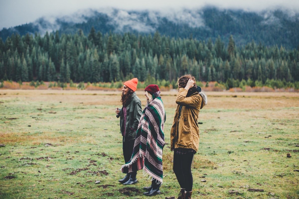 archillect's tweet image. 