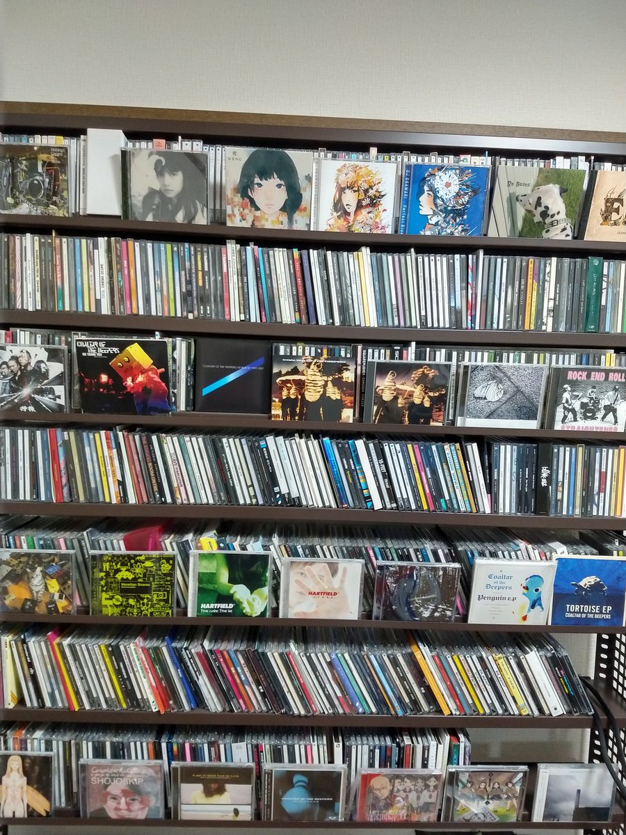 ark_2525's tweet photo. この前CDの飾り方について配信で話したけど、僕のCDはここまできました。もう最近は頻繁に買うことはなくなってホントに欲しいやつしか買わなくなったけどね。改めて見るとこんなになったのか〜って驚く。たまに眺めたりして楽しんでいる( ˙³˙ ) https://t.co/4n7hlXAPlZ