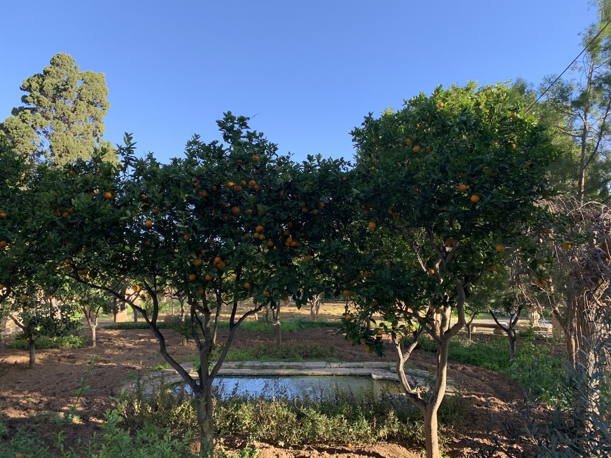 Andreas_Stadler's tweet photo. Your 🇦🇹 Austrian Ambassador for Malta 🇲🇹 w/ Permanent Secretary Ministry for Environment &amp; Climate Change exchanging best practices of circular economy, waste reduction, management &amp; 2energy processing. Palace of Grand Master Vilhena with orange orchard! ⁦@farrugiaaaron⁩ https://t.co/lqvpK2qCqL