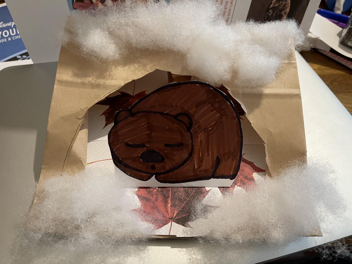 St_JamesYear2's tweet photo. The final animal the children explored in their hibernation fact files was the bear. The children created their own cosy bear dens using recycled materials, fantastic!🐻 https://t.co/RW5ARzuFoc