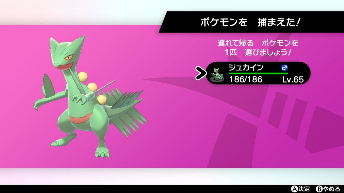 ポポ 見せつけてやるよ ポケモン剣盾 Nintendoswitch テッカグヤ 倒すこと出来なかったが 野生のジュカイン持ち帰ってきた あるにあさんも確かポケモンgoで野生のジュカイン投稿してたの思い出した
