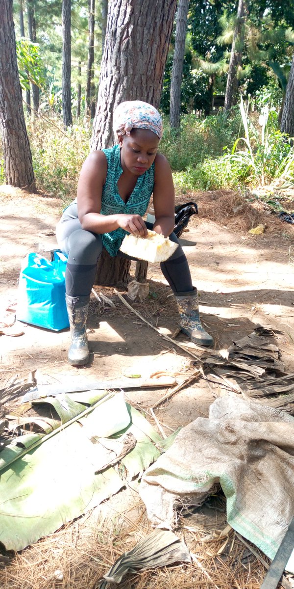 Slay Farmer😍 tweet media