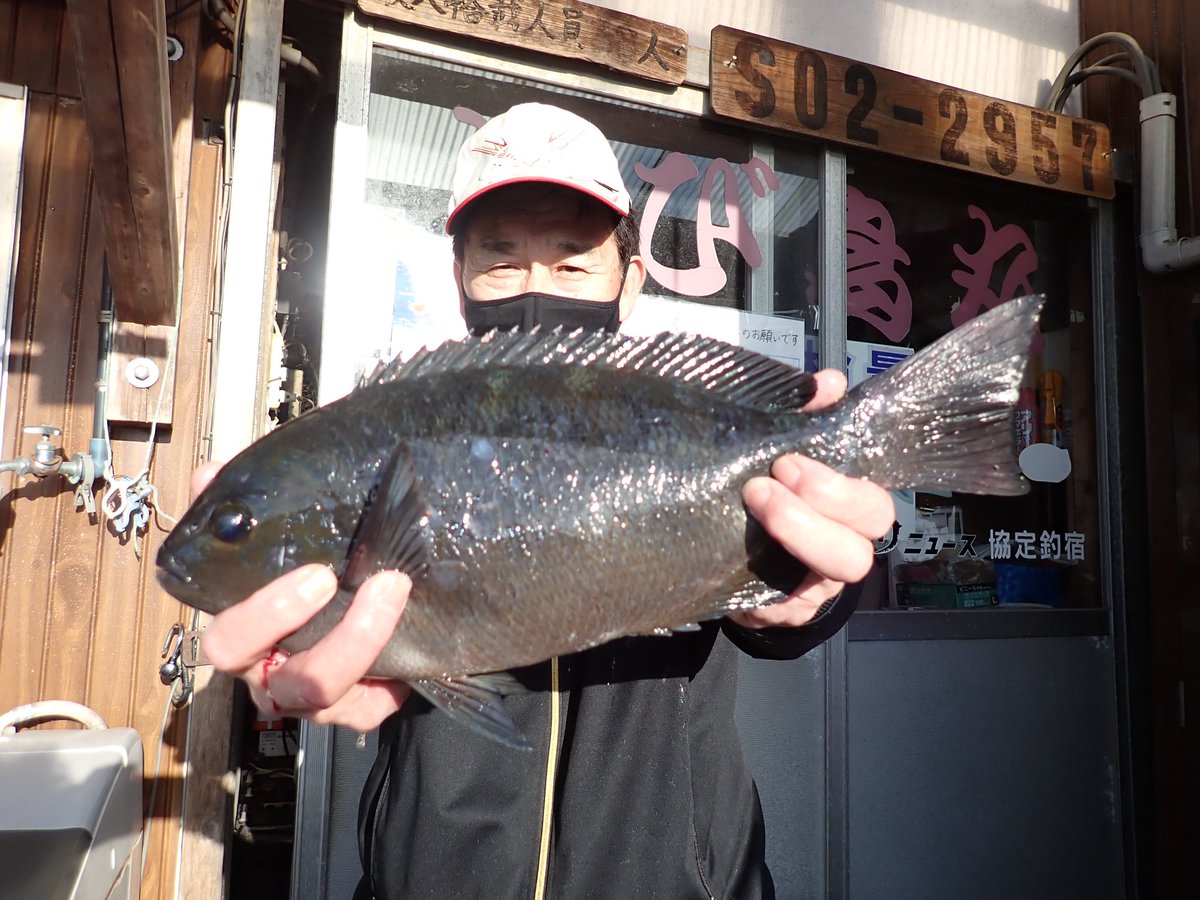伊豆とび島丸 磯釣公式 小下田渡船です 寒メジナ 寒グレ 40 5cmまでを2 10計30枚 クロダイ45cm ブダイ カワハギ等 水温17 3 薄濁り 潮は上りから下り ボチボチ上向きか 富士山が雪化粧しました 今夜も雨予報 次第に上向く事 決定 寒は 伊豆とび島丸 磯釣公式 小下田渡船です 寒メジナ 寒グレ 40 5cmまでを2 10計30枚 クロダイ45cm ブダイ カワハギ等 水温17 3 薄濁り 潮は上りから下り ボチボチ上向きか 富士山が雪化粧しました 今夜も雨予報 次第に上向く事 決定 寒は