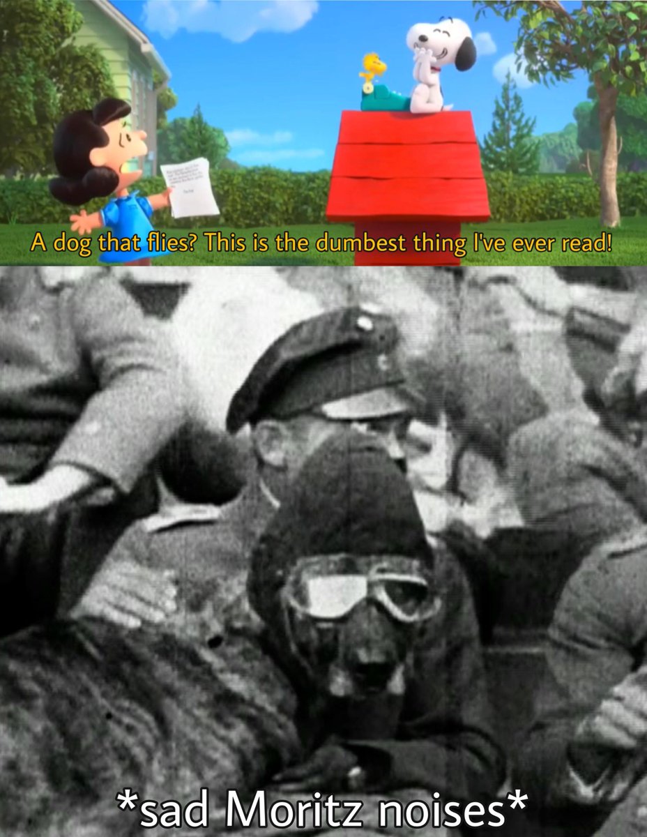 r_HistoryMemes's tweet photo. Moritz was the Red Barons dog. Context in the comments. https://t.co/T3TXRZ29U9 https://t.co/raL373VrXv