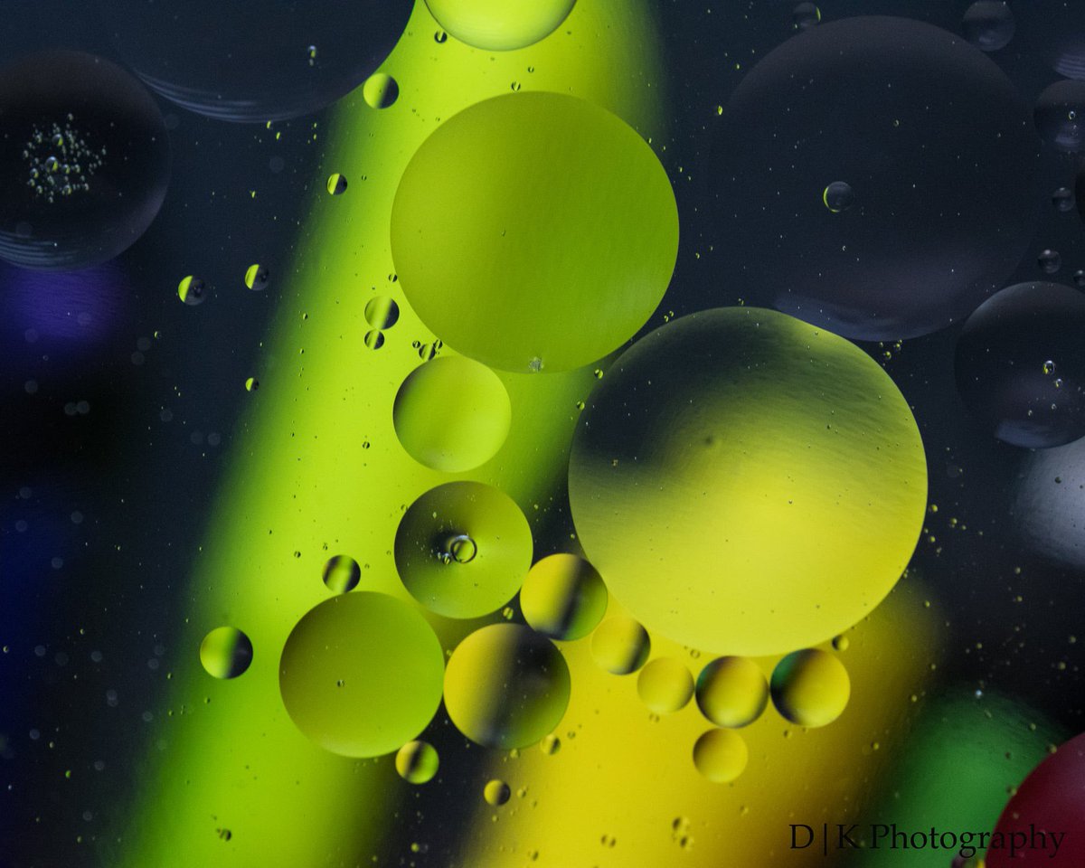 DannysPhotoPg's tweet photo. Oil and water photography. #macro #photography #macrophotography https://t.co/pGoSi3gsf2