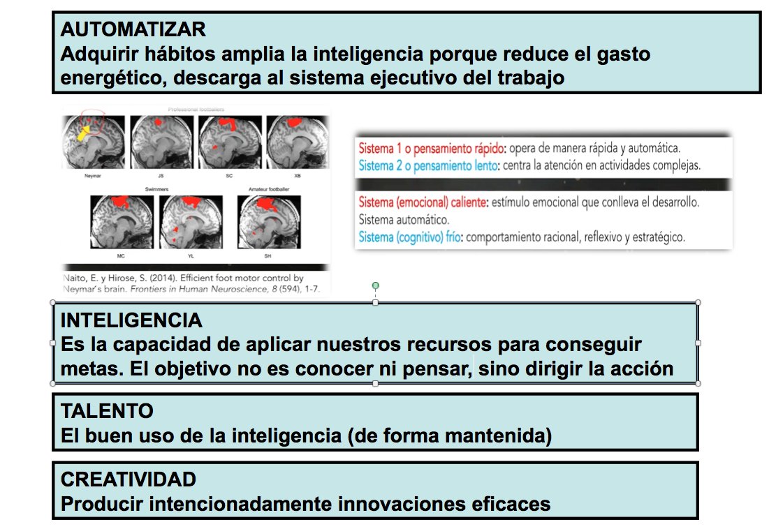 Estevez_Fer's tweet photo. De la hamburguesa de las teorías de la inteligencia a desgranar el juego al detalle. 
Felicitaciones a los alumnos del curso federativo Entrenador Profesional (Aula Granada @cedifa ) por la profundidad y la calidad de los trabajos realizados en mi corta asignatura.
Preparados ⚽️ https://t.co/2SxHIz61lB