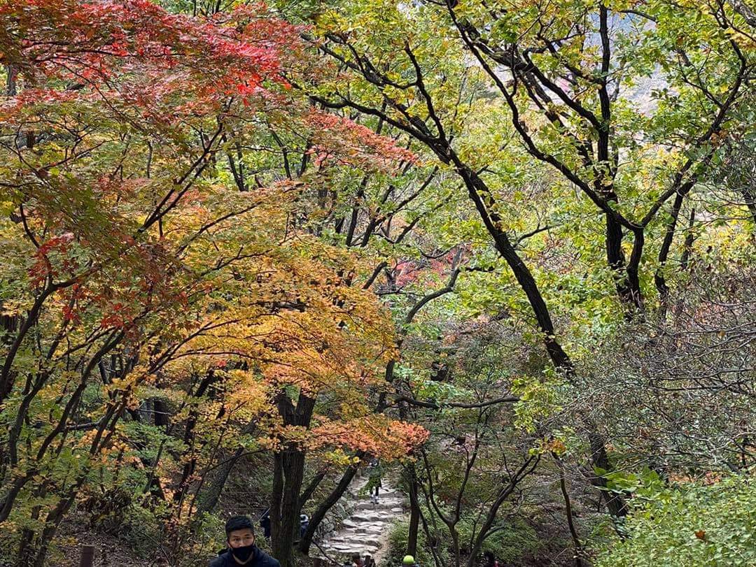 SpiceeeTH's tweet photo. เกาหลีใต้ตอนนี้ อากาศดี ใบไม้สีสวยมากจริง ๆ ค่ะซิสขา และกิจกรรมที่ช่วงนี้คนเกาหลีไปกัน ก็คือเริ่มกลับมาเดินขึ้นเขา ชมธรรมชาติกันละ ชิวมาก 🍁

ตัดภาพมาที่เรา เก็บกระเป๋า เดินเขาในไทยไปก่อนนะ 😂

📍 พิกัด : เขา #BulhansanKorea 🇰🇷

Cr.Nopadol Muenthongng

#Korea #AmazingKorea https://t.co/OSMTFVUo5a