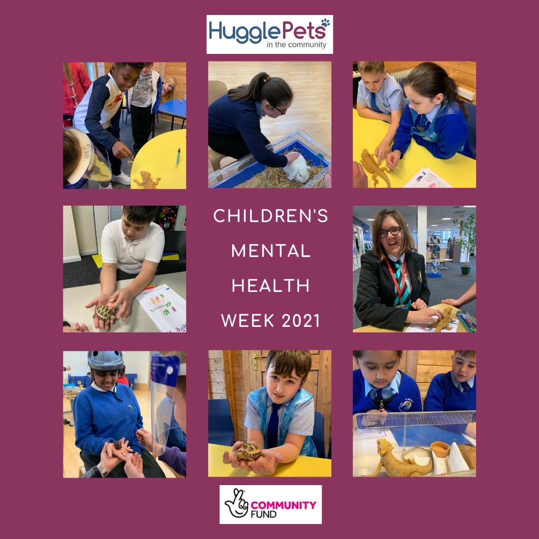 HugglePetsCIC's tweet image. #ChildrensMentalHealthWeek
THANK YOU to all of our amazing #children #youngpeople 

ANNOUCEMENT

As of Monday 22nd Feb, we are offering #schools FREE Online 'Animal Assisted Intervention' Taster Sessions

Book your slot with us via bookings@hugglepets.co.uk
#teachers @TNLComFund