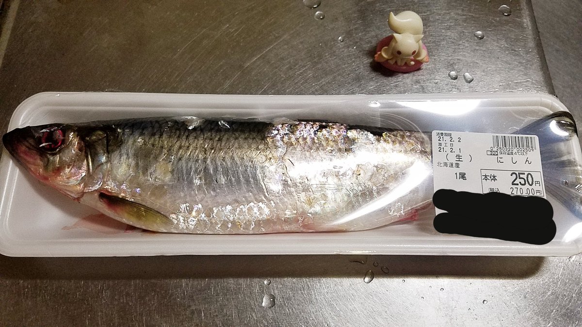 八坂ニコ على تويتر ですよねぇ W 北海道でも割と煮たりするのが多いですね 焼いて食べたりもしますけど 骨が 小骨が 八坂ニコ على تويتر ですよねぇ W 北海道でも割と煮たりするのが多いですね 焼いて食べたりもしますけど 骨が 小骨が