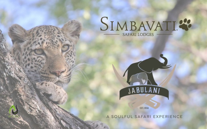 African Synergy tweet media