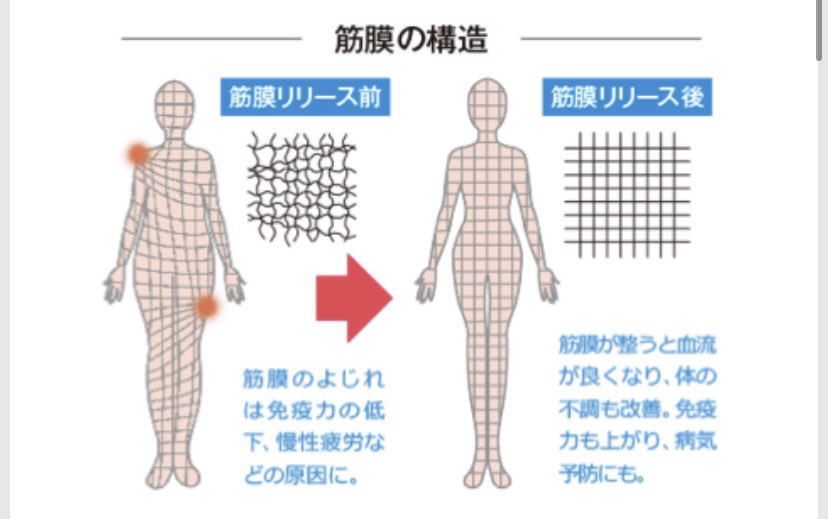 痩身 体質改善detoxリンパ よもぎ蒸し 小顔 個室エステ De Beaute デボーテ 恵比寿店 Ebispadebeaute Twitter