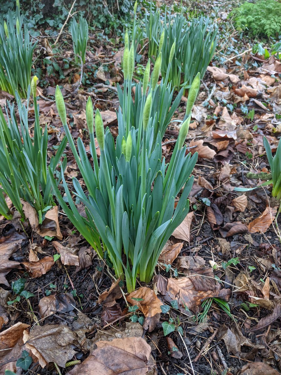 So happy to see this today #spring