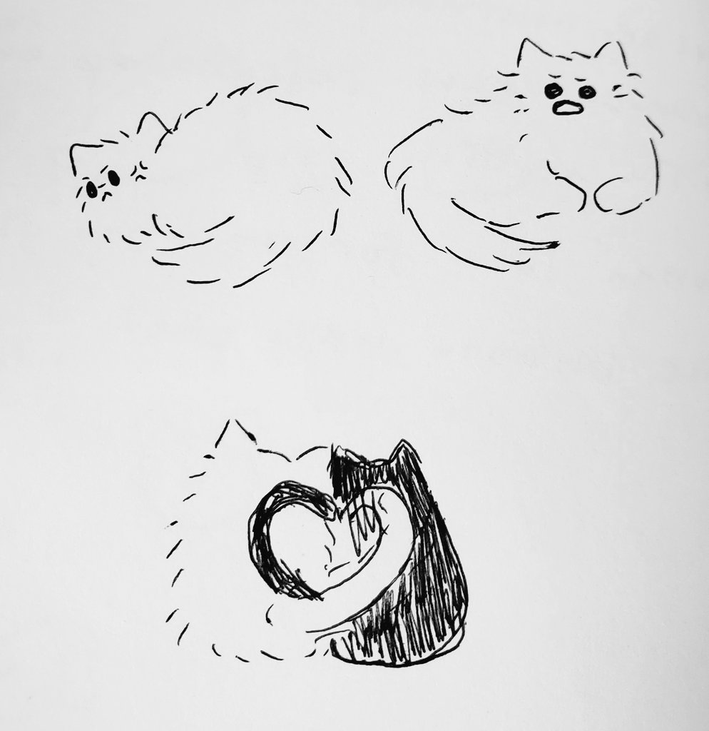 more catjos 