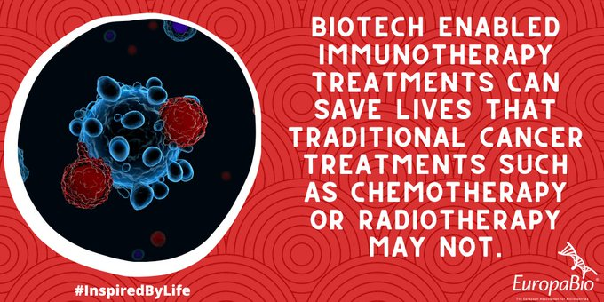 Violeta Georgieva tweet media