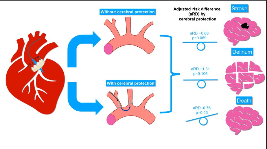 CeBAC (@cebac_freiburg) on Twitter photo 