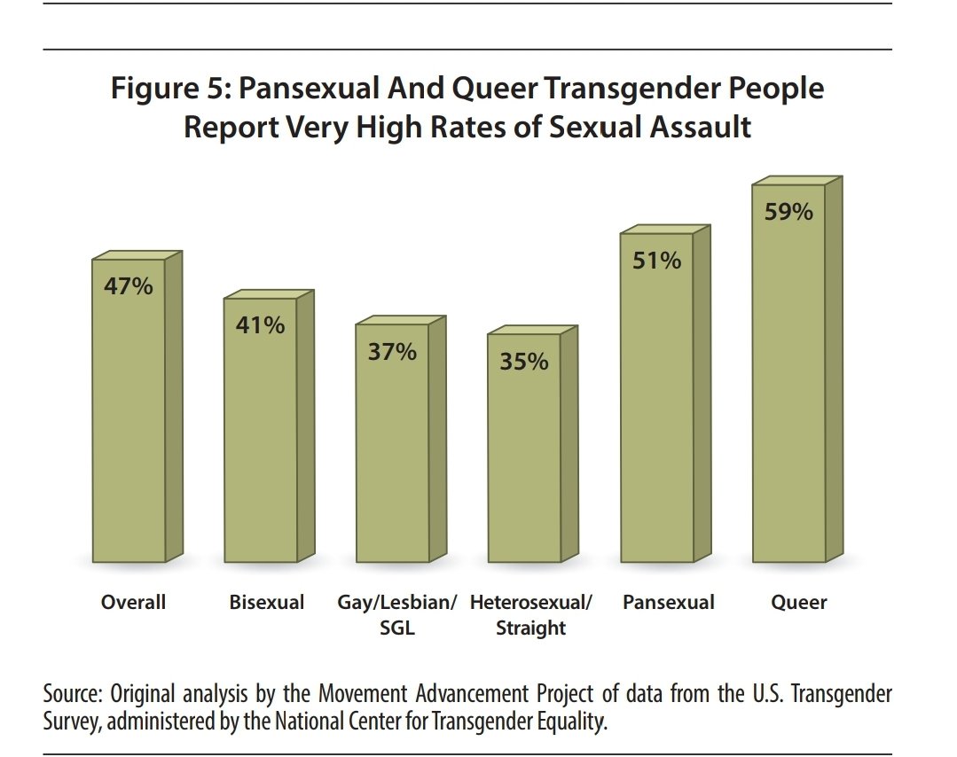 Queer, pansexual, and bisexual transgender people face incredibly high levels of sexual violenceThis is from here:  https://www.lgbtmap.org/bisexual-transgender