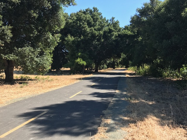 SanJoseTrails's tweet photo. Recommendation No 3, Odette Morrow Trail: A 1-mile loop accessible with bridge crossing to regional Coyote Creek Trail system. No bike commuters here. Trail lets you explore an oak woodland and lost orchard; great adventure for 4 to 7 year-old children. https://t.co/uE5Gf929iy https://t.co/xzWIgYW1Tq