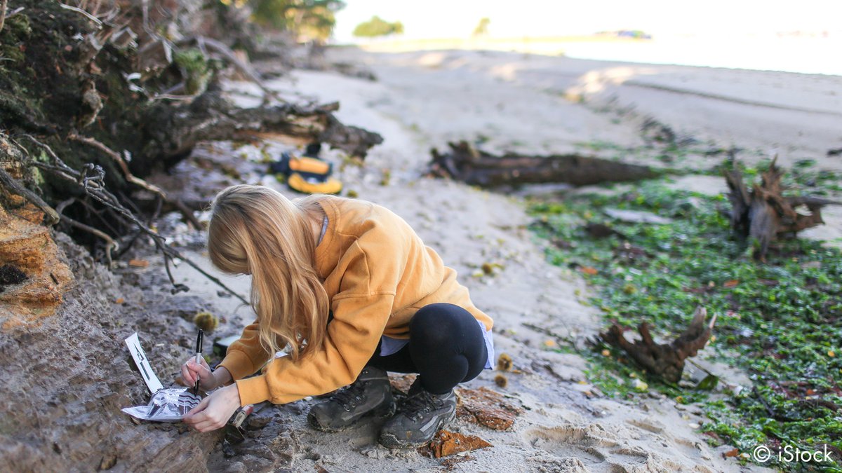 ResearchGermany's tweet image. Past river activity in northern Africa reveals multiple Sahara greenings 👉 ow.ly/kW1F50DnrbF @GFZ_Potsdam #Palaeoclimate #ClimateDynamics #Sedimentology