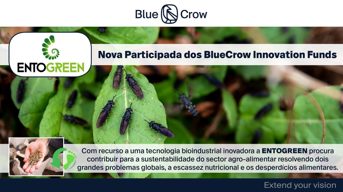 BlueCrow Capital tweet media