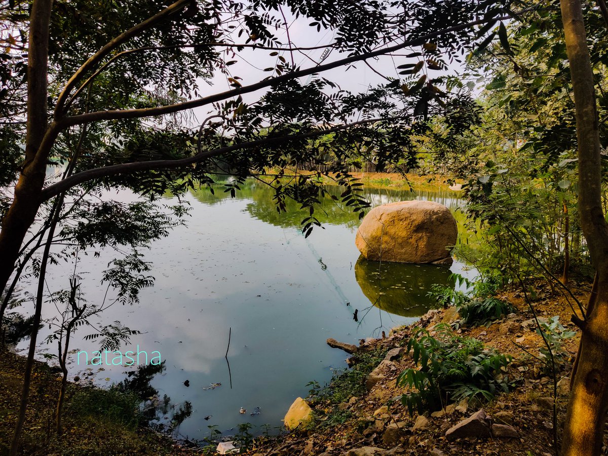 nuts2406's tweet photo. "Should we remove that. It's of no use", asked the contractor who was engaged to create an immersion pond at Neknampur Lake.
That's the respect we have for our natural heritage; the value of 2.6 billion year old rocks reduced to their immediate utility.
#SaveOurRocks
@madhulikaS2 https://t.co/VMid8dZNKn