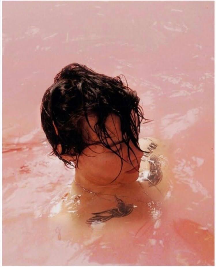 whaples74's tweet photo. Wow this man is 27 today. Happy birthday @Harry_Styles  TPWK 😍🥳 https://t.co/IWW4LYJE4D