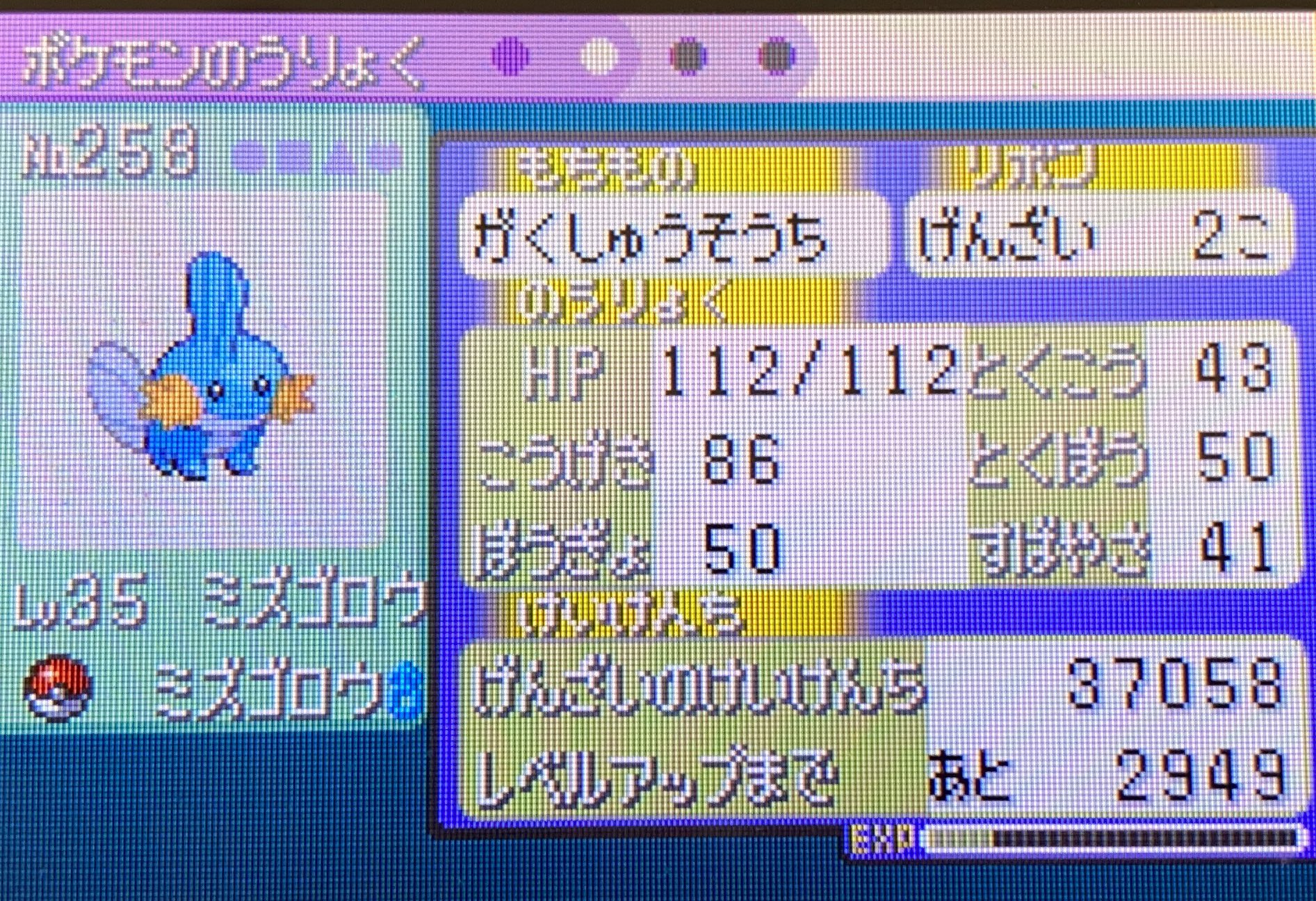 Takagi ポケモンエメラルド バトルフロンティア バトルタワー ラグラージ育成完了 技構成はめざパが岩タイプ 威力54 だったので いわなだれをがむしゃらに変更 これで防御高い奴らも相手できる 前使ってたラグラージより攻撃は低いけど 防御