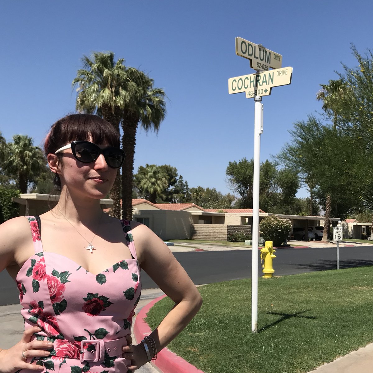 At the corner of Cochran and Odlum Drives! A brief thread on this location to start the week!