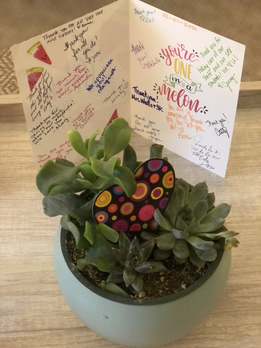 Feeling the love at St. Pius X Catholic School today in recognition of National School Counseling Week #NSCW21