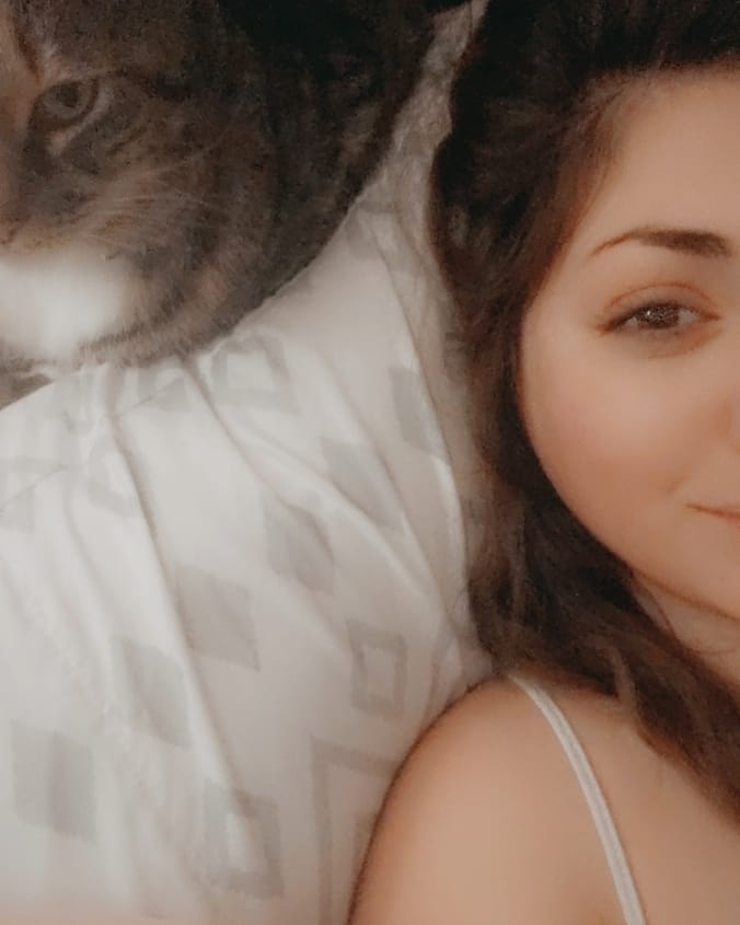 fox_one_lj's tweet photo. Sometimes she acts like she loves me๐ฅฐ #catsofinstagram #catsoftwitter #twitchstreamer #streamingbuddy https://t.co/6jfoXGKSS6