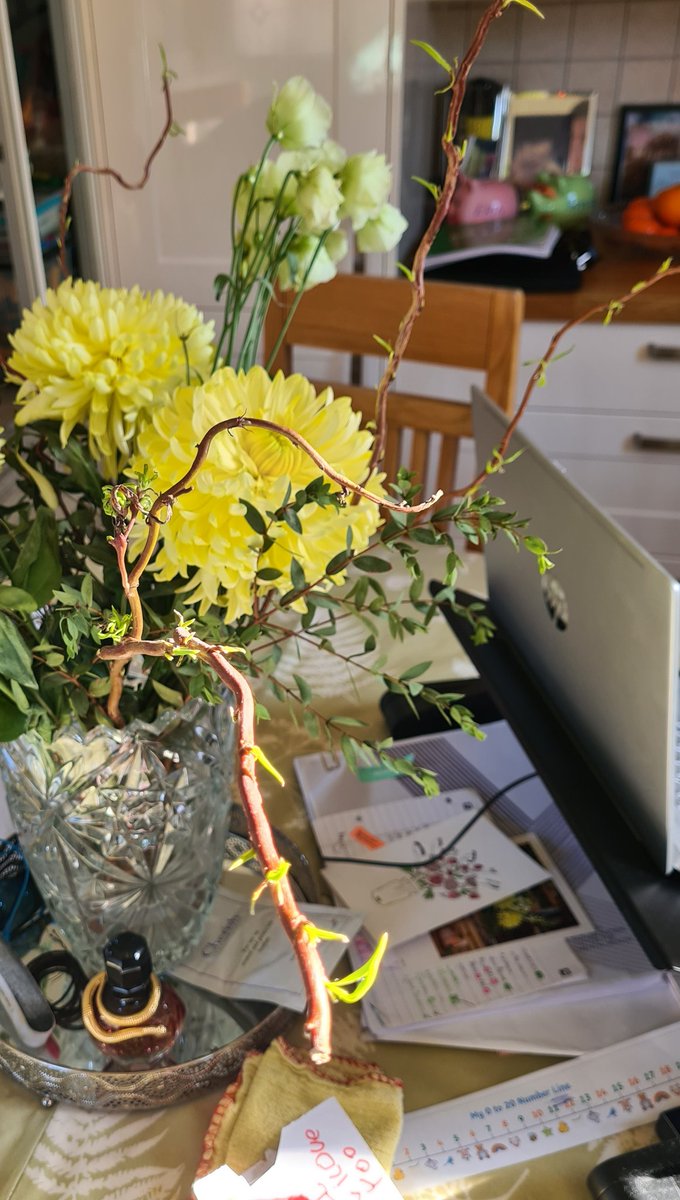 GemBushell84's tweet image. #plantlife #plantmindfulness #gorgeous