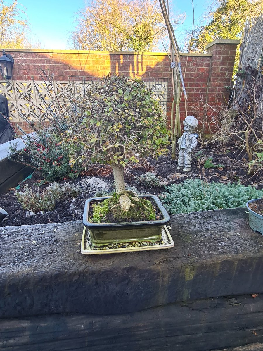 GemBushell84's tweet image. #plantlife #plantmindfulness #gorgeous