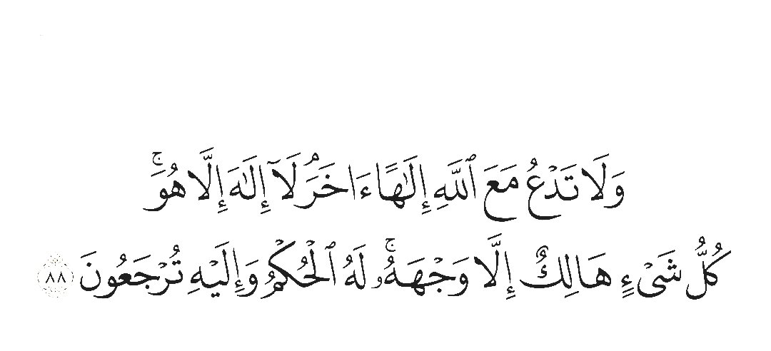 ذِكْرى (@falox16) on Twitter photo 
