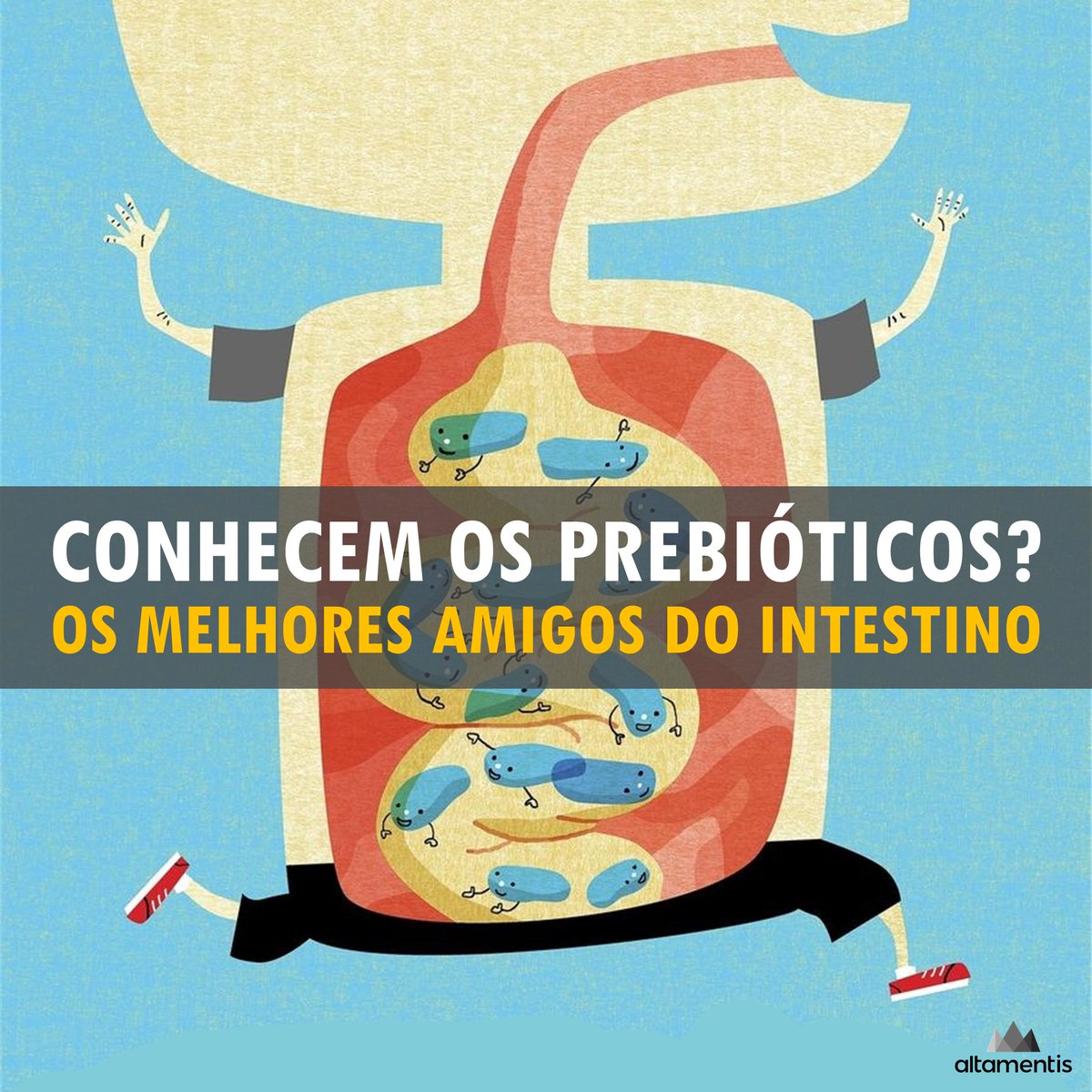 altamentis's tweet photo. #probioticos vs #prebioticos
https://t.co/gsZjQGTgHw

#altamentis #biohacking #healthylifestyle #nutricaofuncional #gut https://t.co/6l8aQ5Lrc2