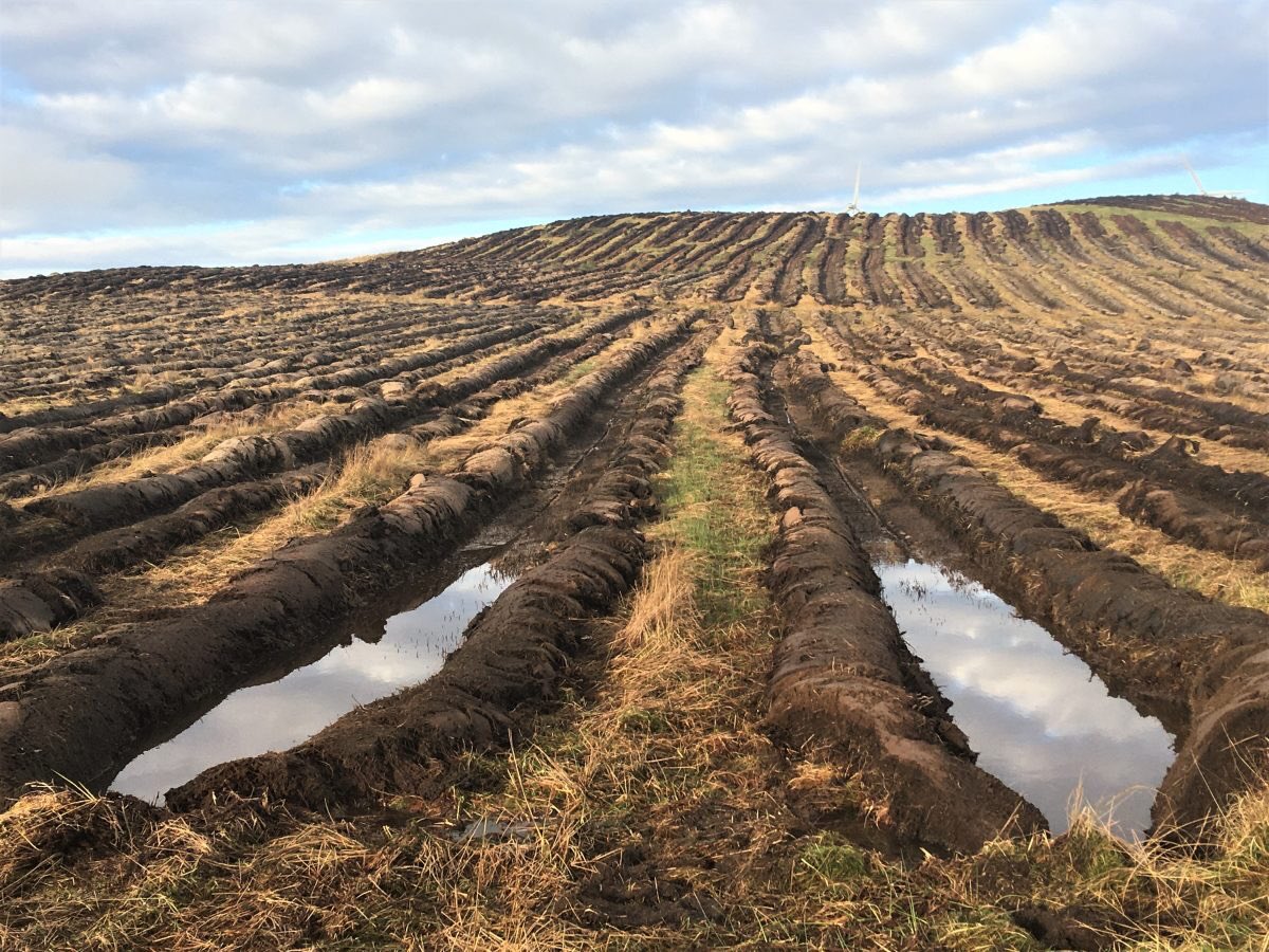 This may seem unrelated to forest management but I have seen coppice stool clearance and replanting in broadleaf using diggers / tractors in which it looked much like plough so great damage to soil