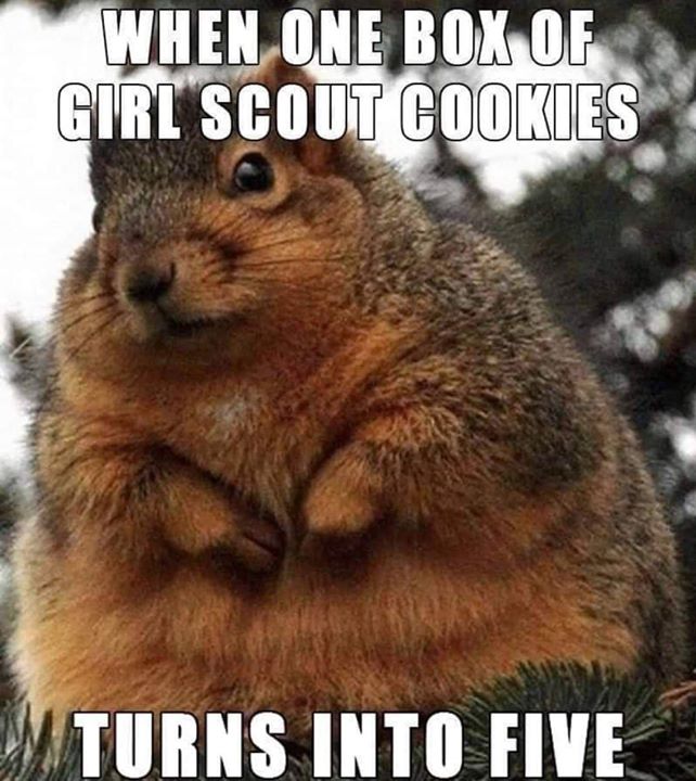 But Thin Mints are SO GOOD...