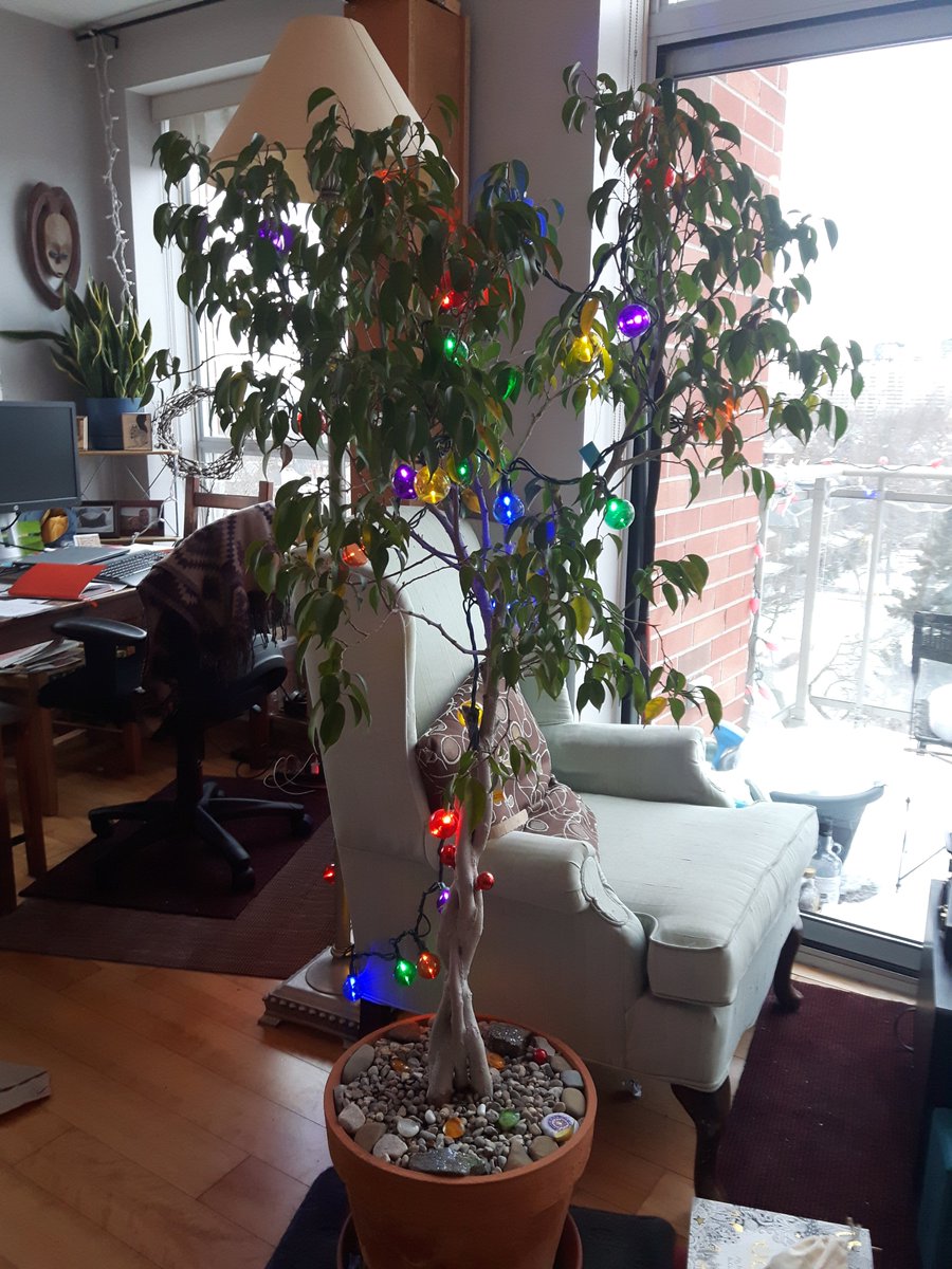 @metromorning I'm with @ishaninath keeping the festive ficus lights on (possibly all year)  + one special ornament made by @beckyblake_