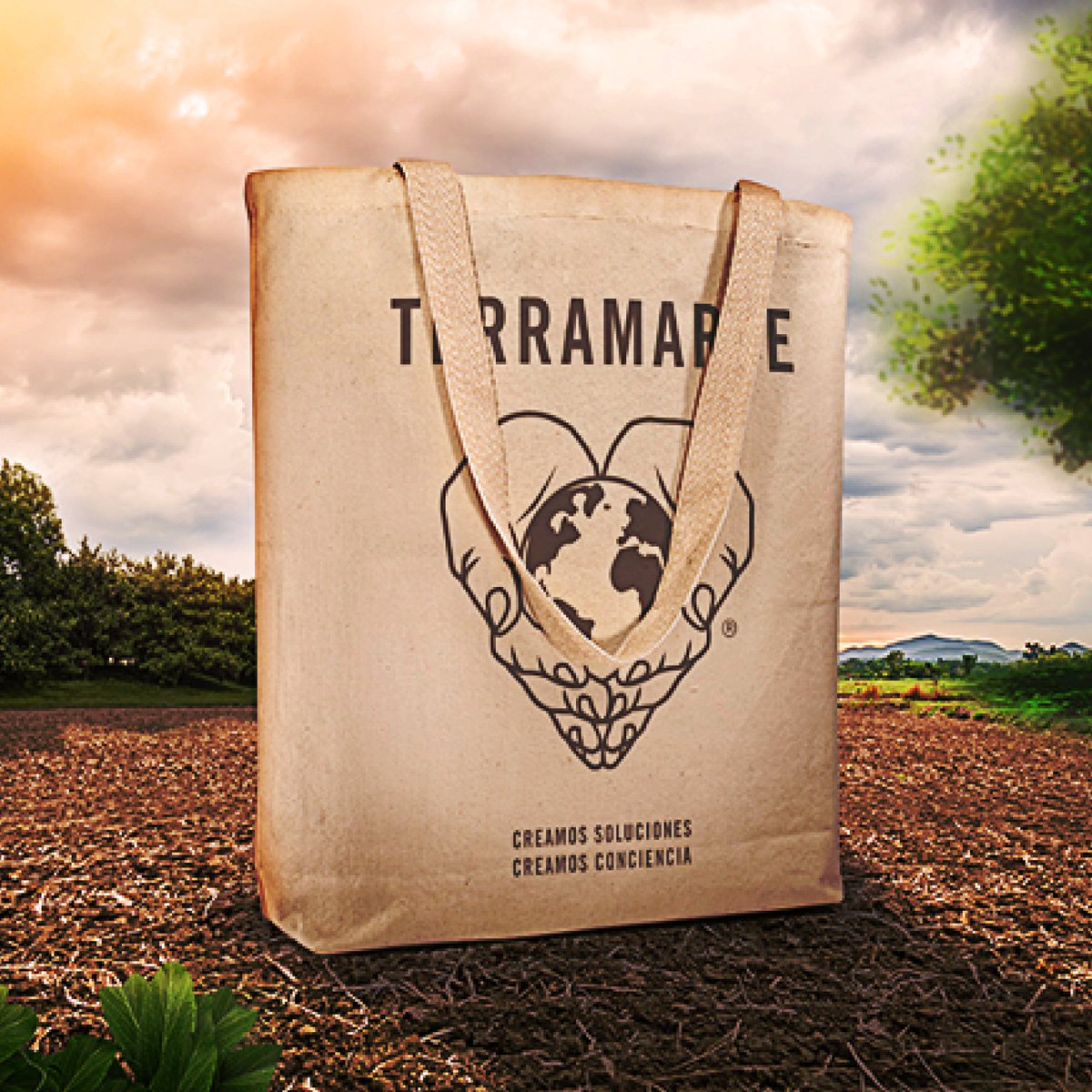 Trabajar con fibras naturales y reutilizables no solo le da un respiro al planeta, también te da la oportunidad de tener un producto de calidad 100% colombiano.
#fibranatural #ecobolsa #reutilizable