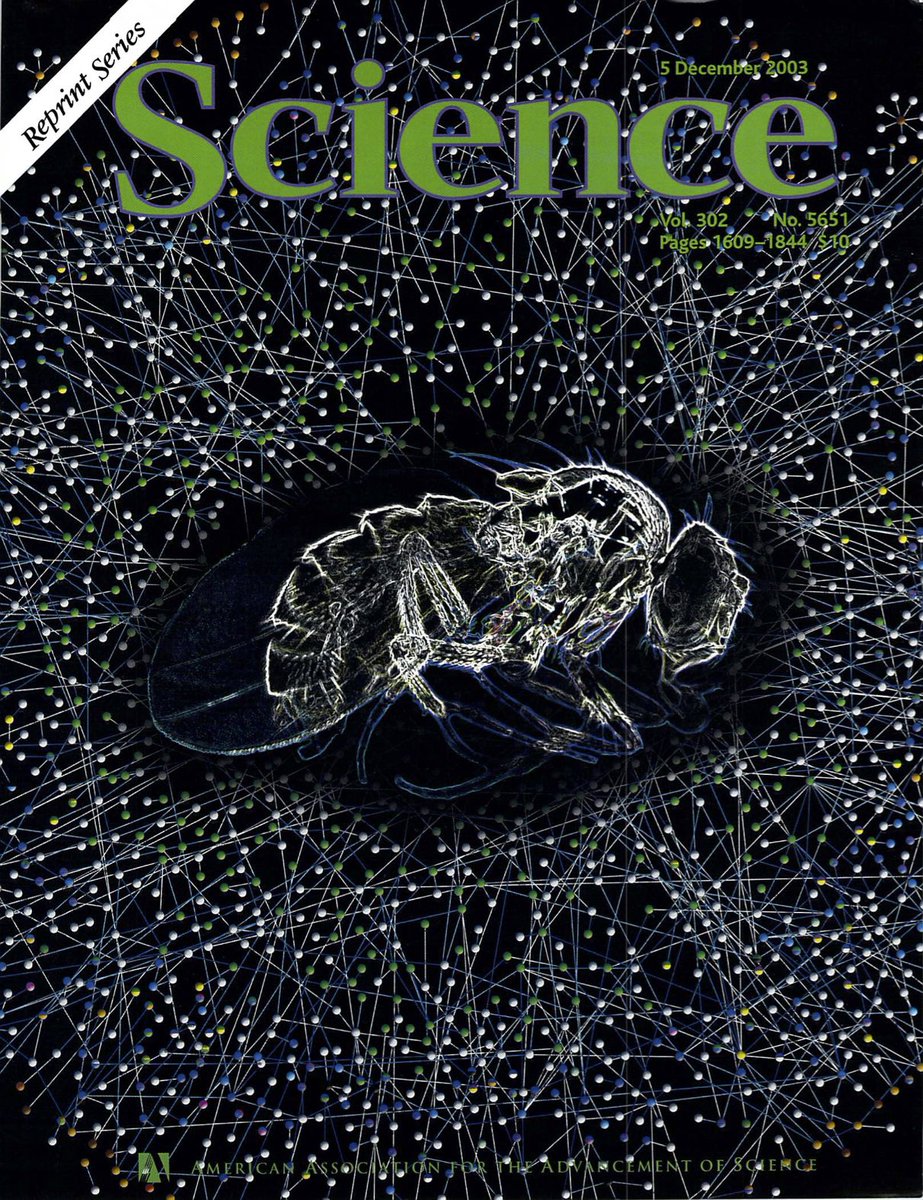 JM Rothberg tweet media